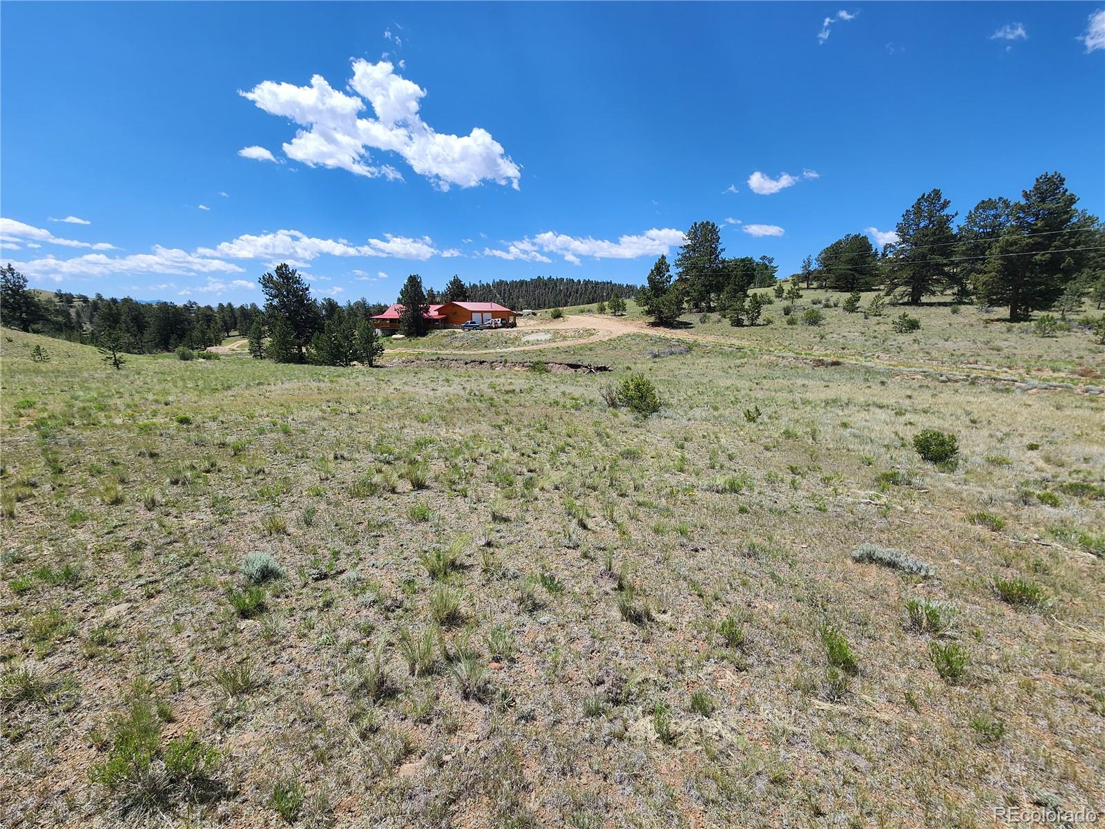 Oak Street Hartsel, CO 80449 - Photo 6 of 7 a view of a yard with an outdoor space