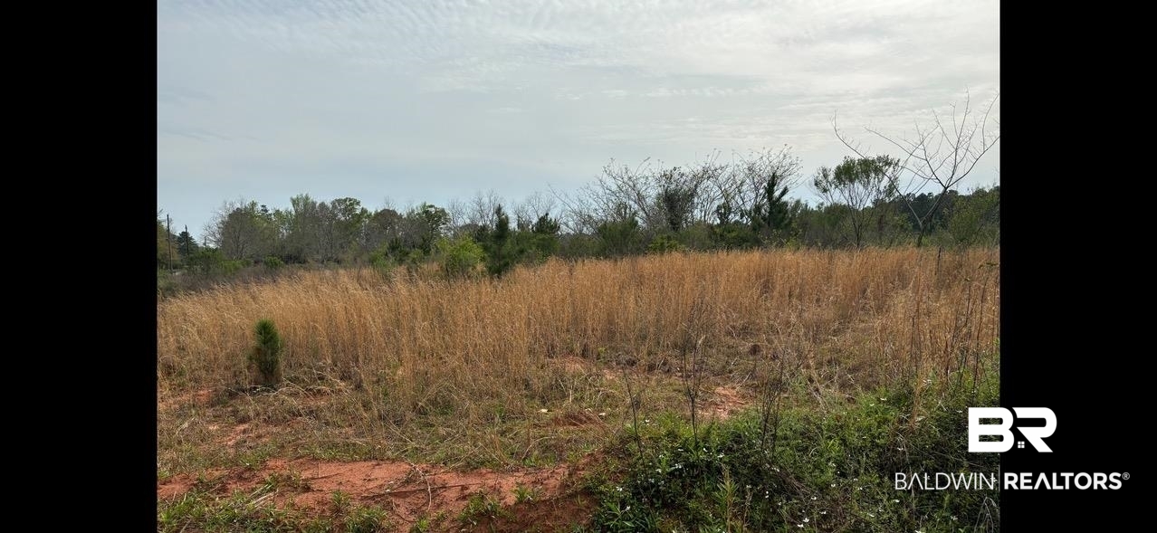 3740 Latigo Road Mobile, AL 36695 - Photo 1 of 8 View of landscape