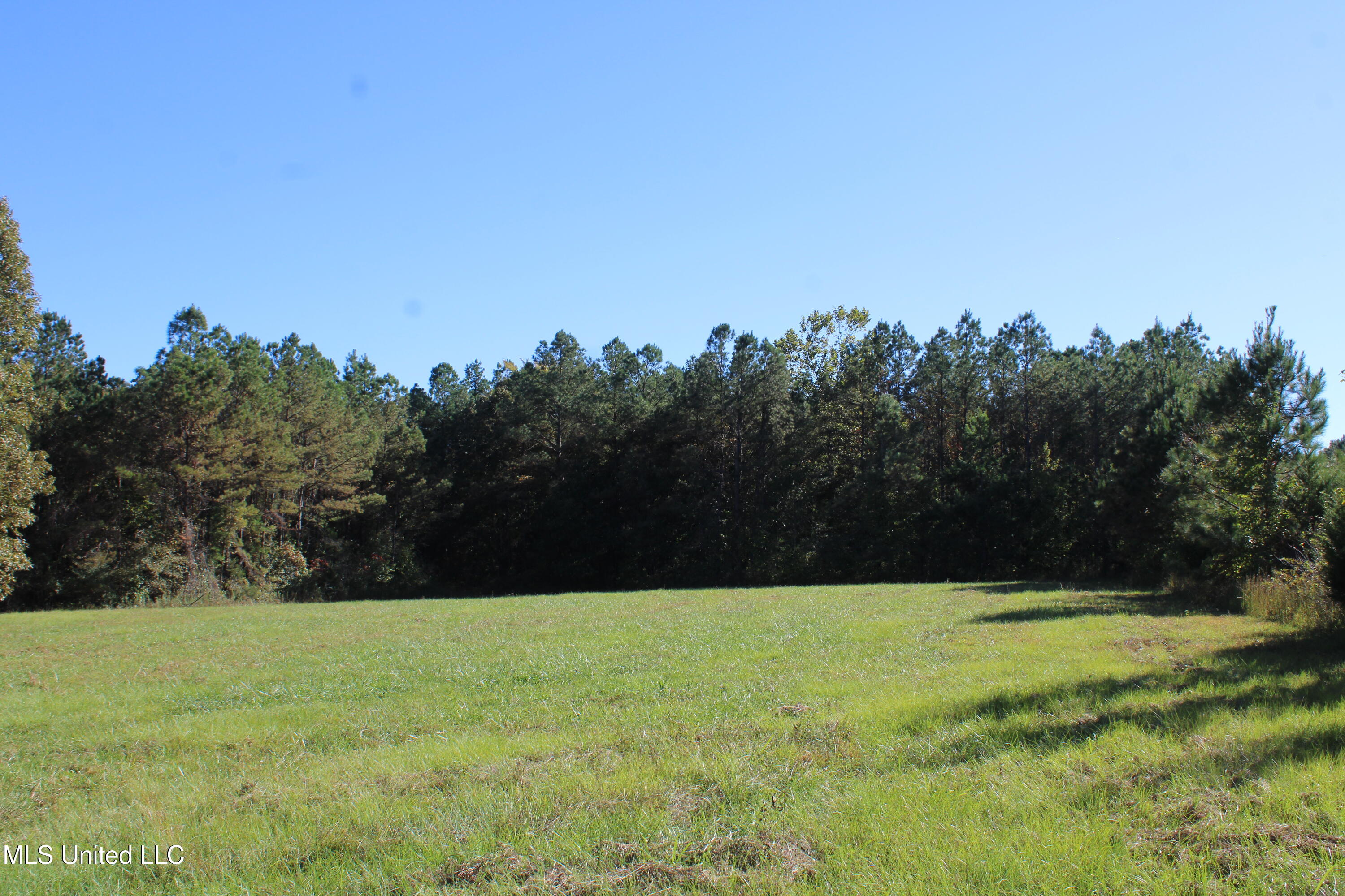 1503 Lower Gurley Road Potts Camp, MS 38659 - Photo 27 of 52 IMG_4802