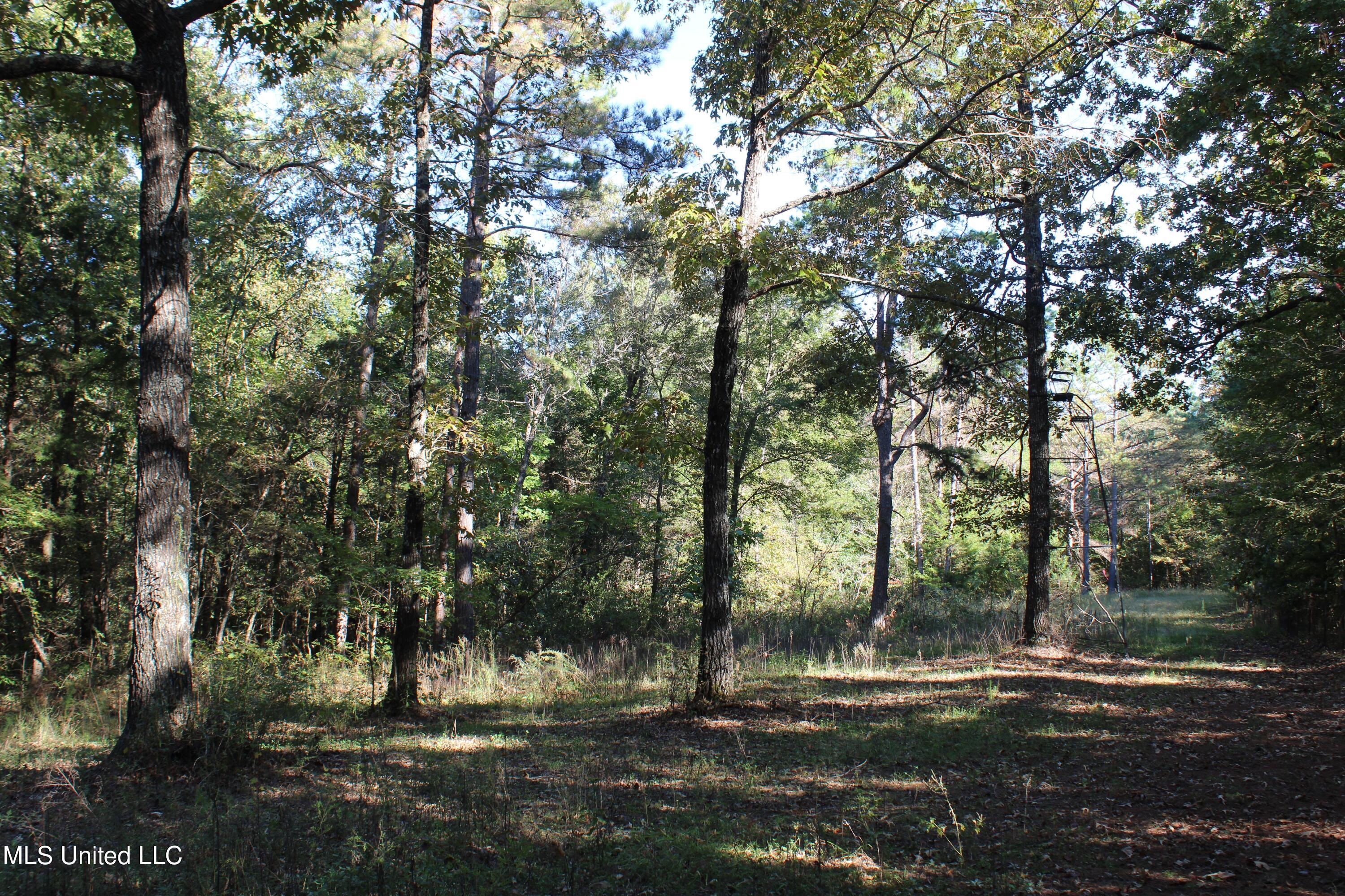 1503 Lower Gurley Road Potts Camp, MS 38659 - Photo 46 of 52 IMG_4822