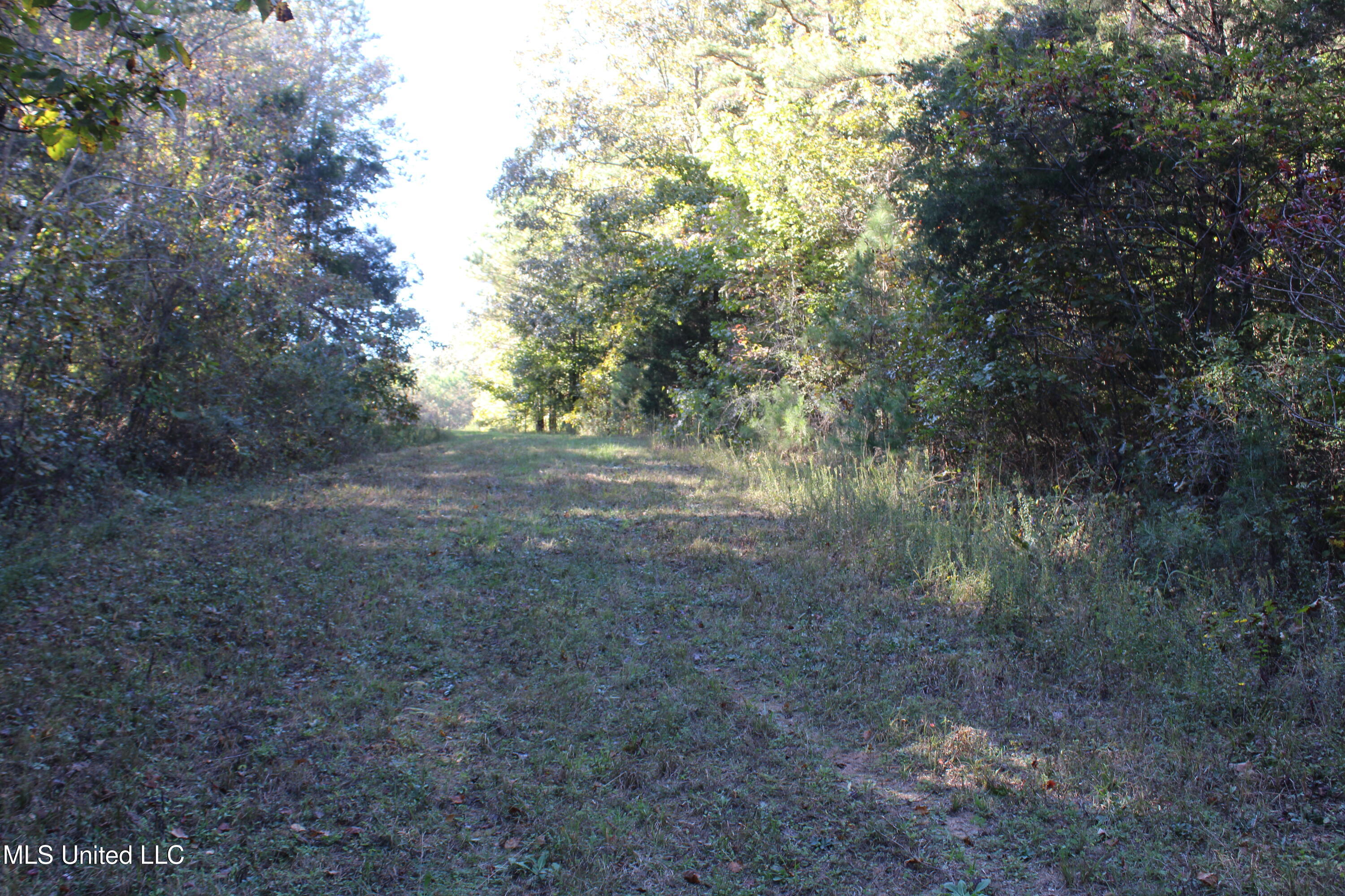 1503 Lower Gurley Road Potts Camp, MS 38659 - Photo 49 of 52 IMG_4825