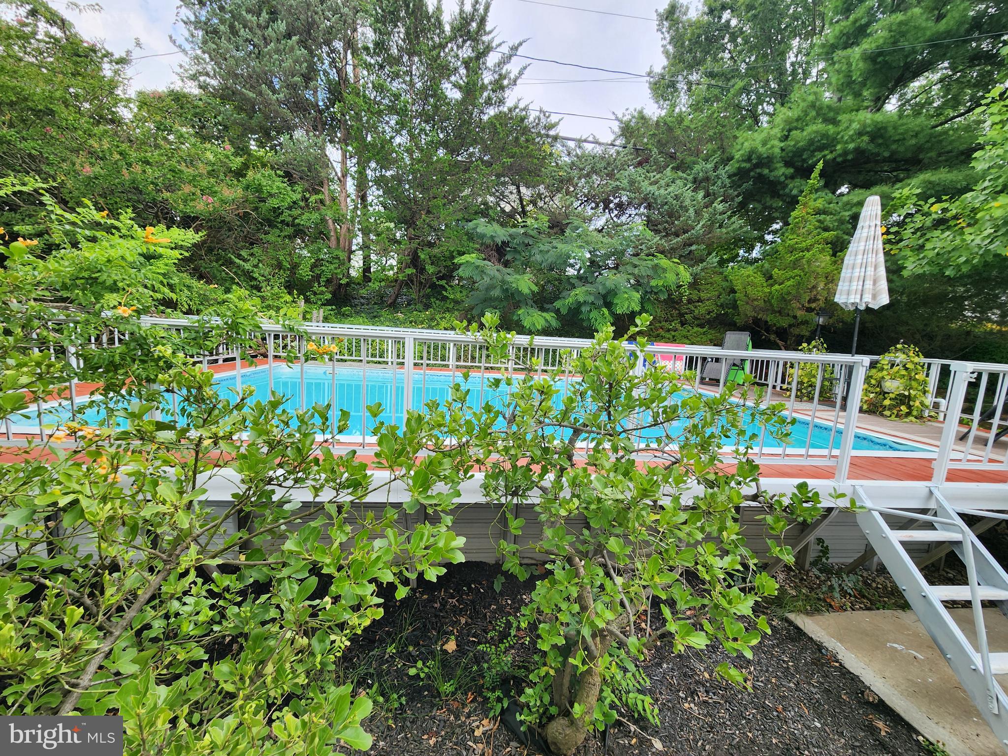6720 Garvey Road Baltimore, MD 21237 - Photo 9 of 13 a view of yard with seating area and trees around