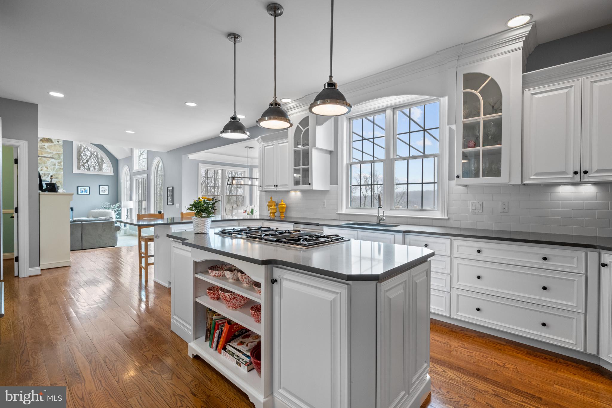 239 Fern Ridge Landenberg, PA 19350 - Photo 9 of 49