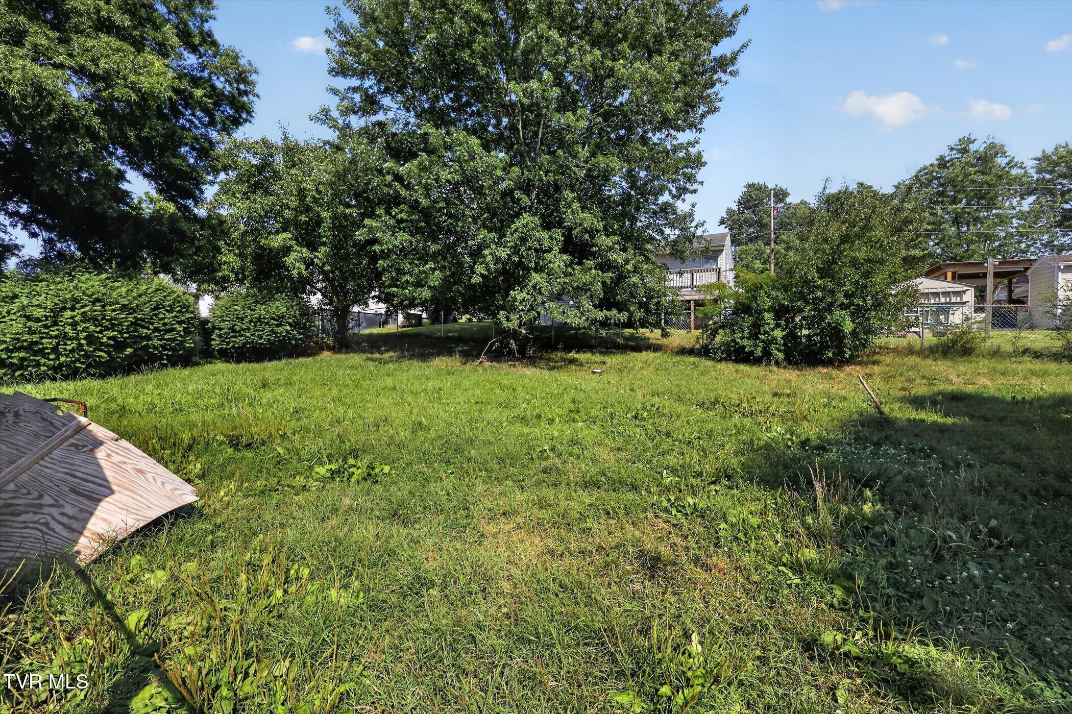 113 Ell Street Greeneville, TN 37743 - Photo 34 of 35 30-113-Ell-St-WindowStill-Photography