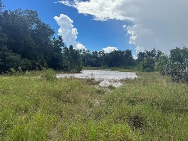 a view of outdoor space with green field and trees all around