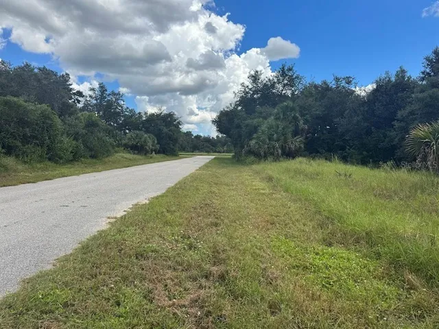 a backyard of a house with lots of green space