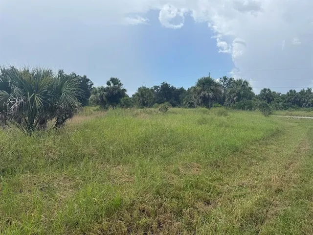 a view of a field with trees in background