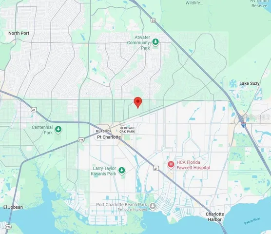 a picture of flowers