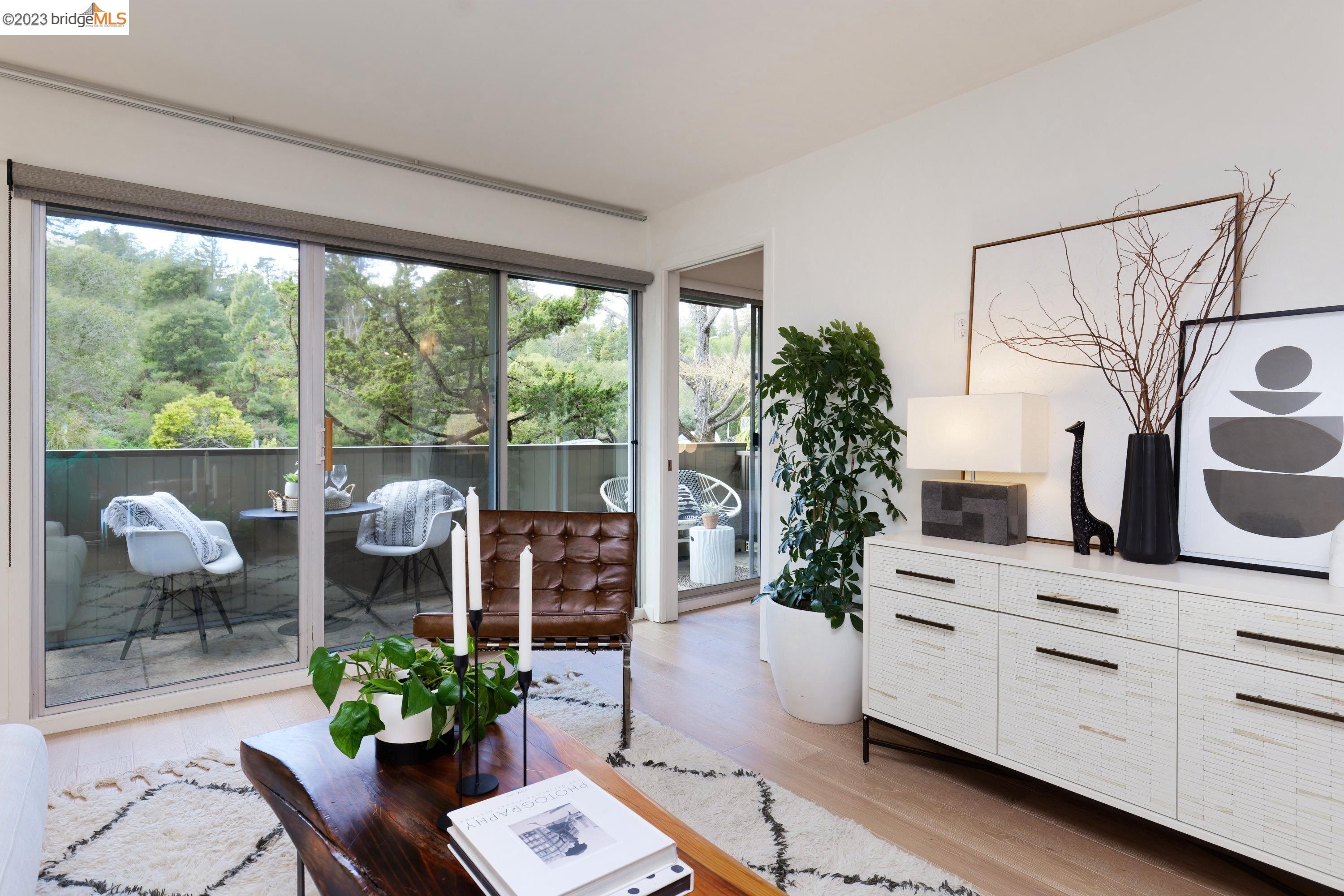 a living room with furniture a potted plant and a large window