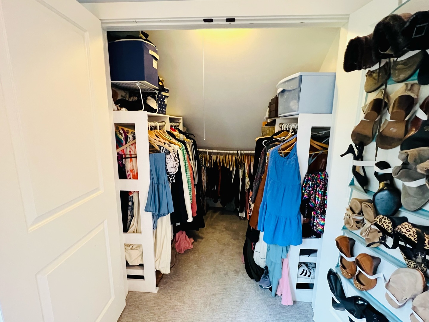 1105 Harrison Street Park Ridge, IL 60068 - Photo 15 of 29 a view of walk in closet with clothes and shoes