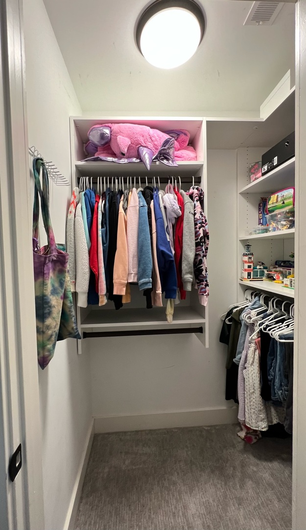 1105 Harrison Street Park Ridge, IL 60068 - Photo 19 of 29 a view of walk in closet with clothes and shoes
