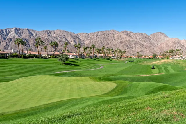 a view of a field with a mountain in the background