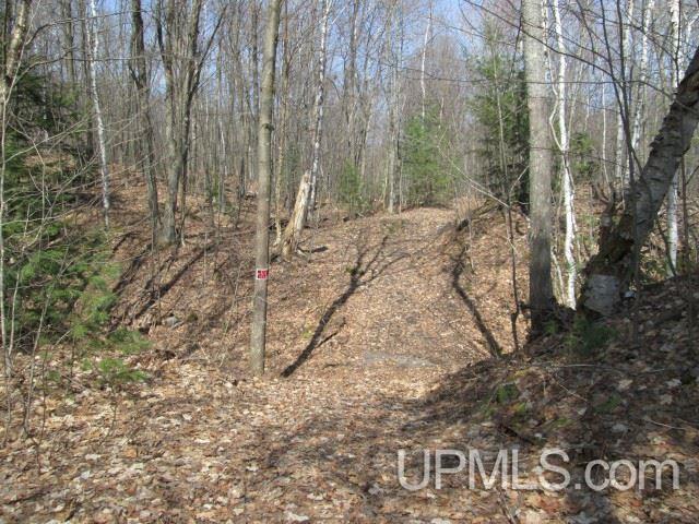 Tbd Golf Course Road Calumet, MI 49913 - Photo 6 of 21