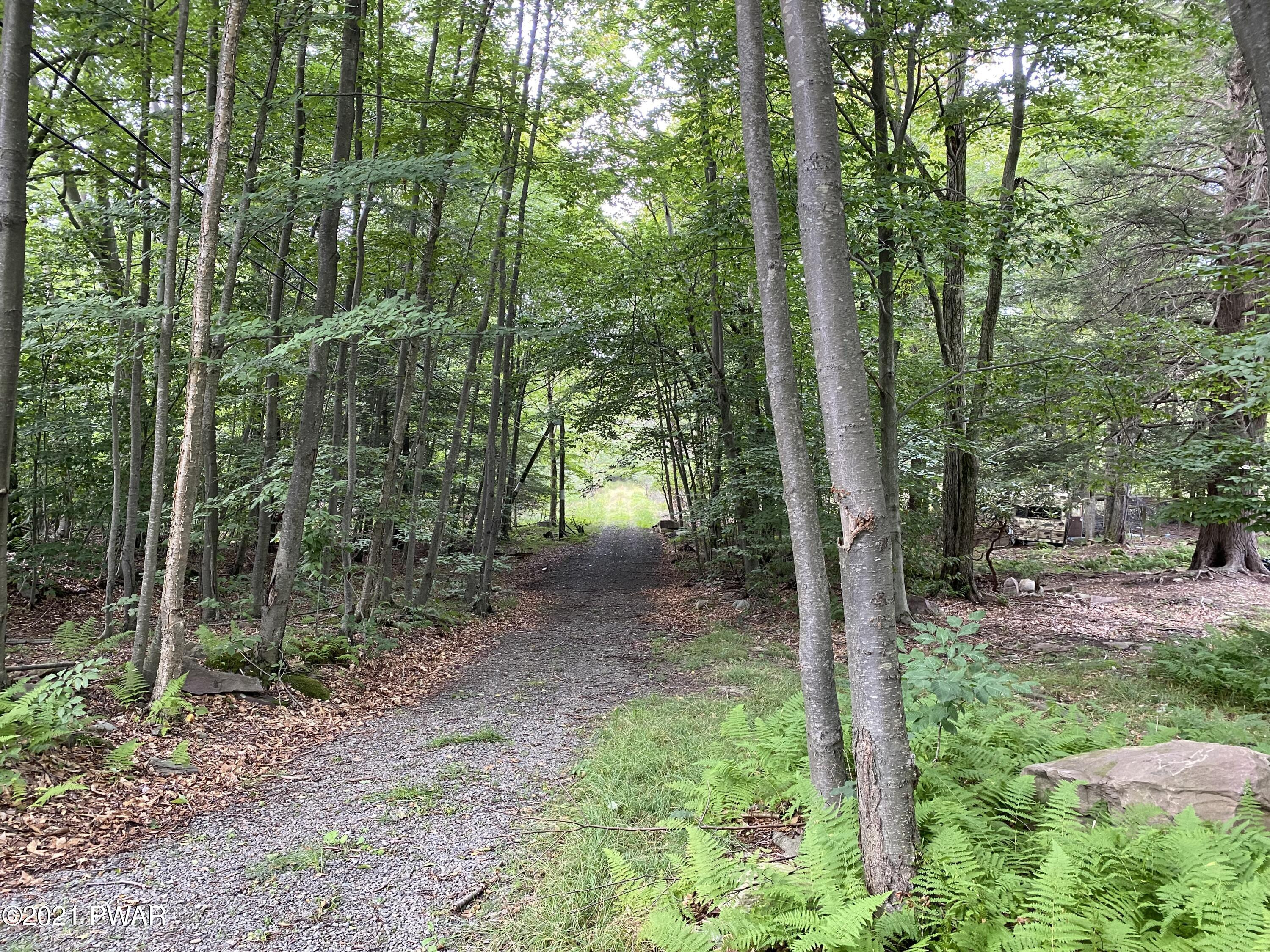 887 Millcreek Road Newfoundland, PA 18445 - Photo 12 of 12 Driveway