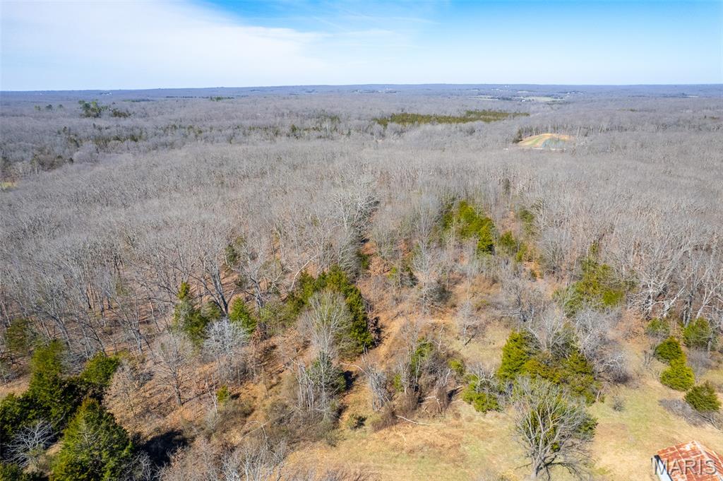 0 Grob Road Gerald, MO 63037 - Photo 12 of 47