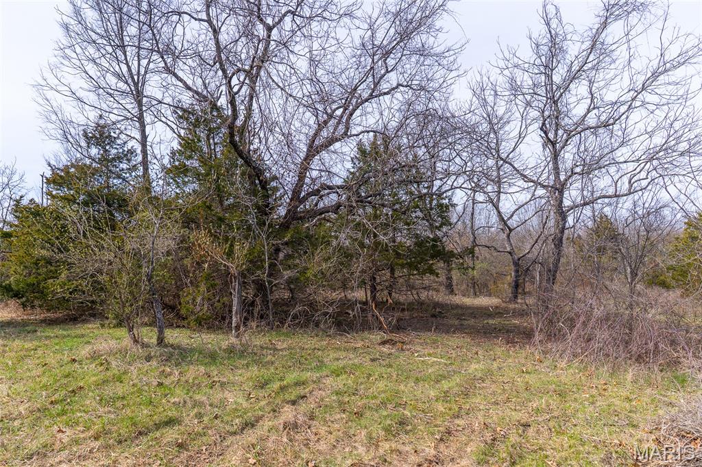 0 Grob Road Gerald, MO 63037 - Photo 16 of 47