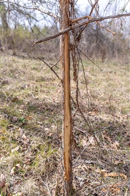 0 Grob Road Gerald, MO 63037 - Photo 19 of 47