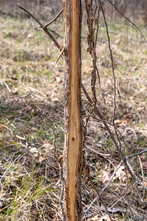 0 Grob Road Gerald, MO 63037 - Photo 20 of 47