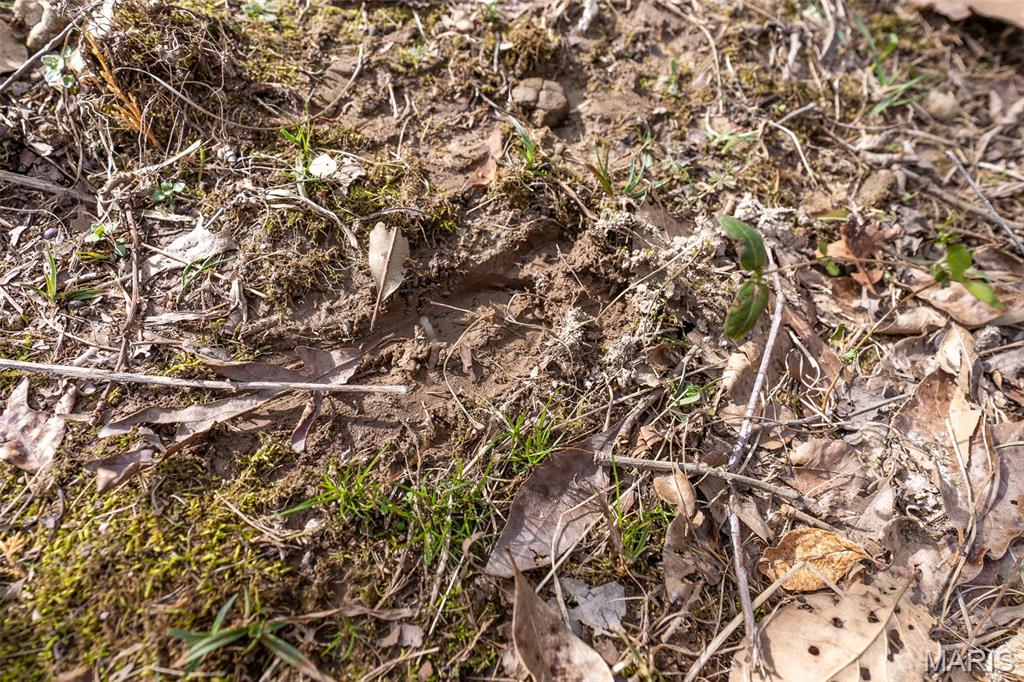 0 Grob Road Gerald, MO 63037 - Photo 21 of 47