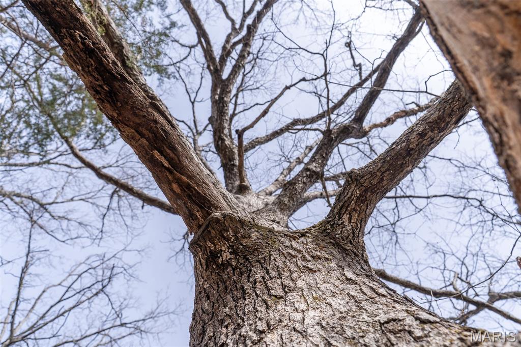 0 Grob Road Gerald, MO 63037 - Photo 22 of 47