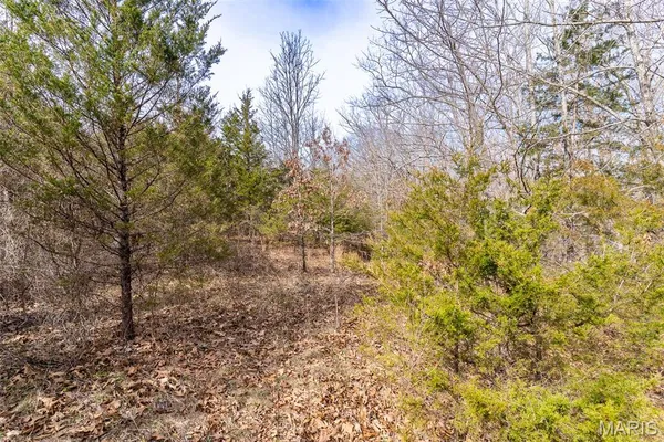 $152,640 | 0 Grob Road, Gerald, MO 63037