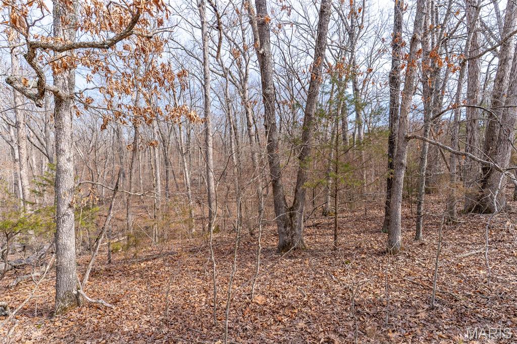 0 Grob Road Gerald, MO 63037 - Photo 25 of 47