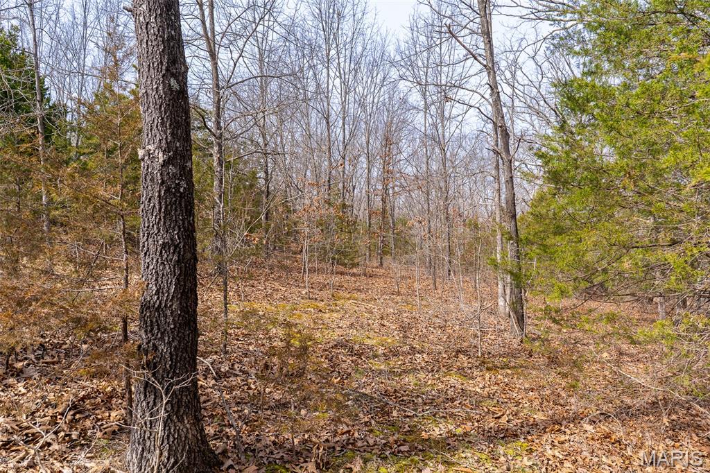 0 Grob Road Gerald, MO 63037 - Photo 26 of 47