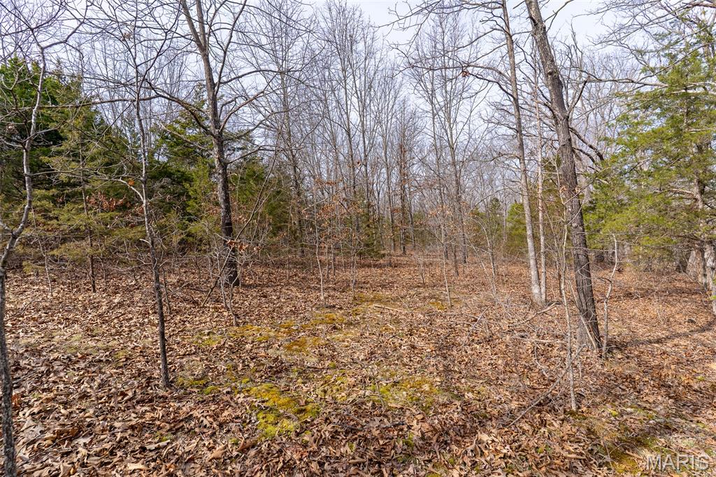 0 Grob Road Gerald, MO 63037 - Photo 27 of 47