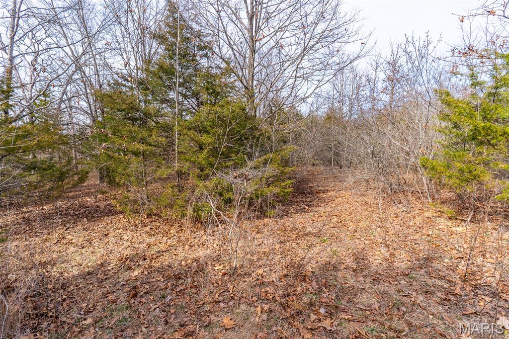 0 Grob Road Gerald, MO 63037 - Photo 28 of 47