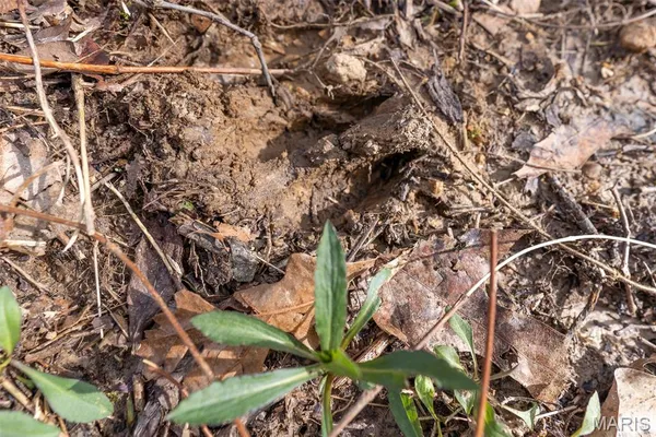 $152,640 | 0 Grob Road, Gerald, MO 63037