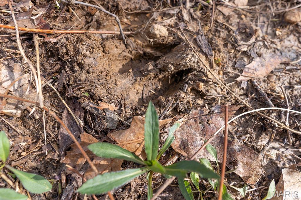 0 Grob Road Gerald, MO 63037 - Photo 29 of 47