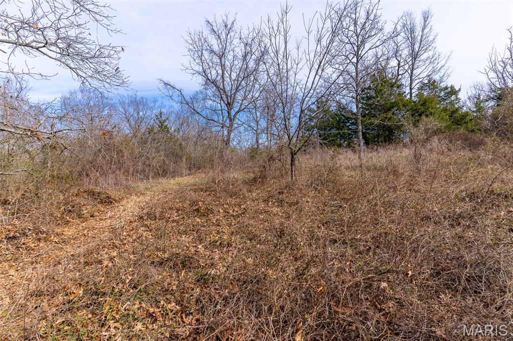 0 Grob Road Gerald, MO 63037 - Photo 30 of 47