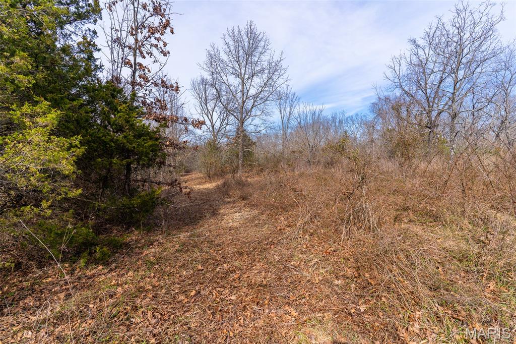 0 Grob Road Gerald, MO 63037 - Photo 31 of 47