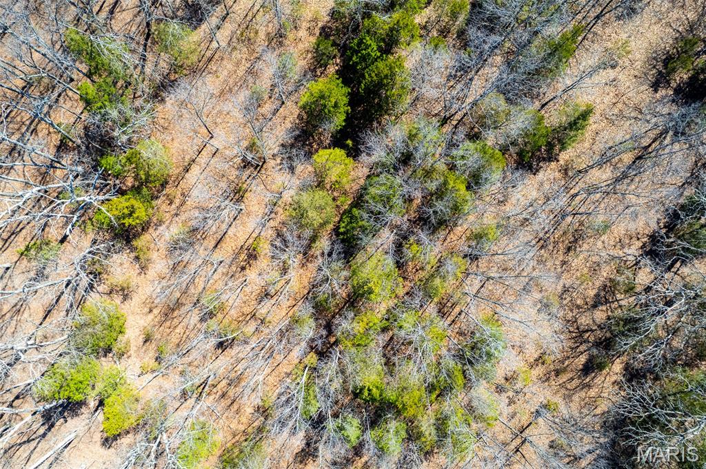 0 Grob Road Gerald, MO 63037 - Photo 40 of 47