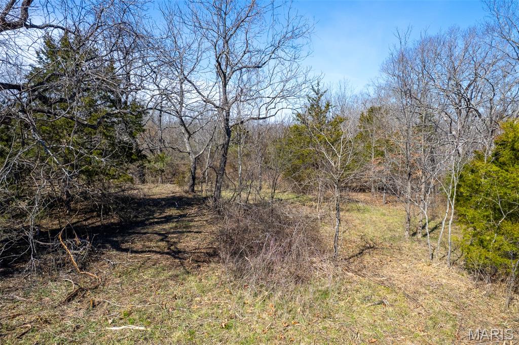 0 Grob Road Gerald, MO 63037 - Photo 46 of 47