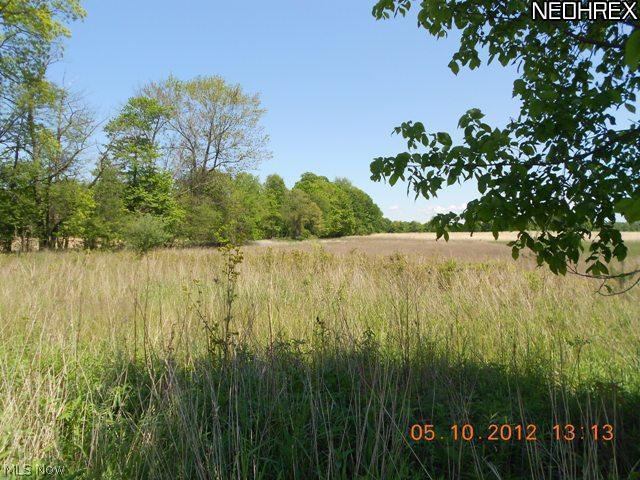 Gore Orphanage Road Vermilion, OH 44089 - Photo 3 of 3