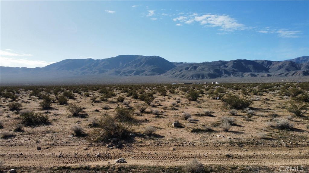 43 Old Woman Springs Road Johnson Valley, CA 92285 - Photo 8 of 9