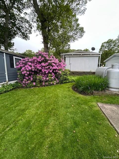 1661 Old Country Road Riverhead, NY 11901 - Photo 3 of 12 a view of a backyard with plants and large tree