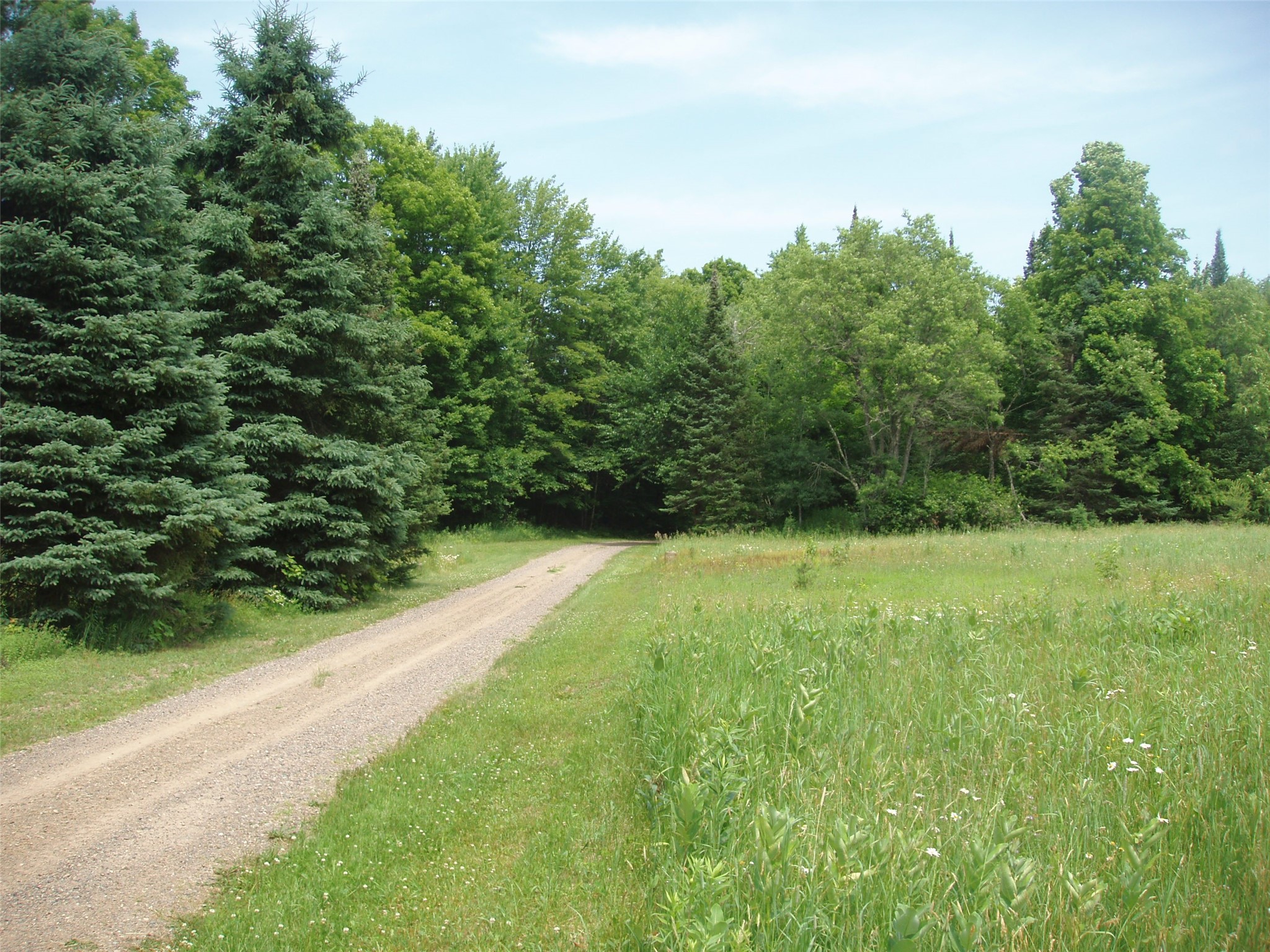2460 County Hwy FF Butternut, WI 54514 - Photo 25 of 34