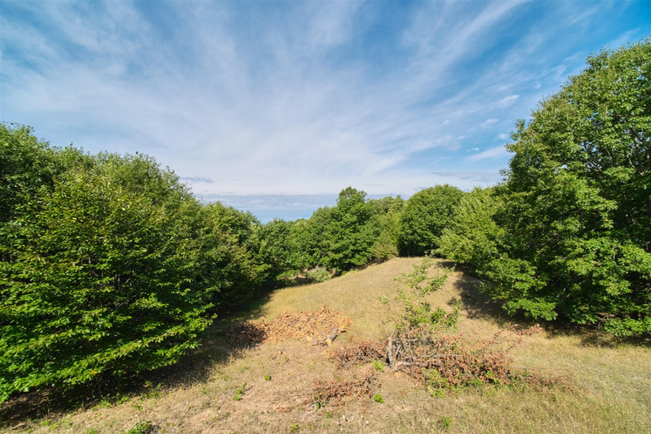Arcadia Ridge Drive Onekama, MI 49675 - Photo 28 of 52