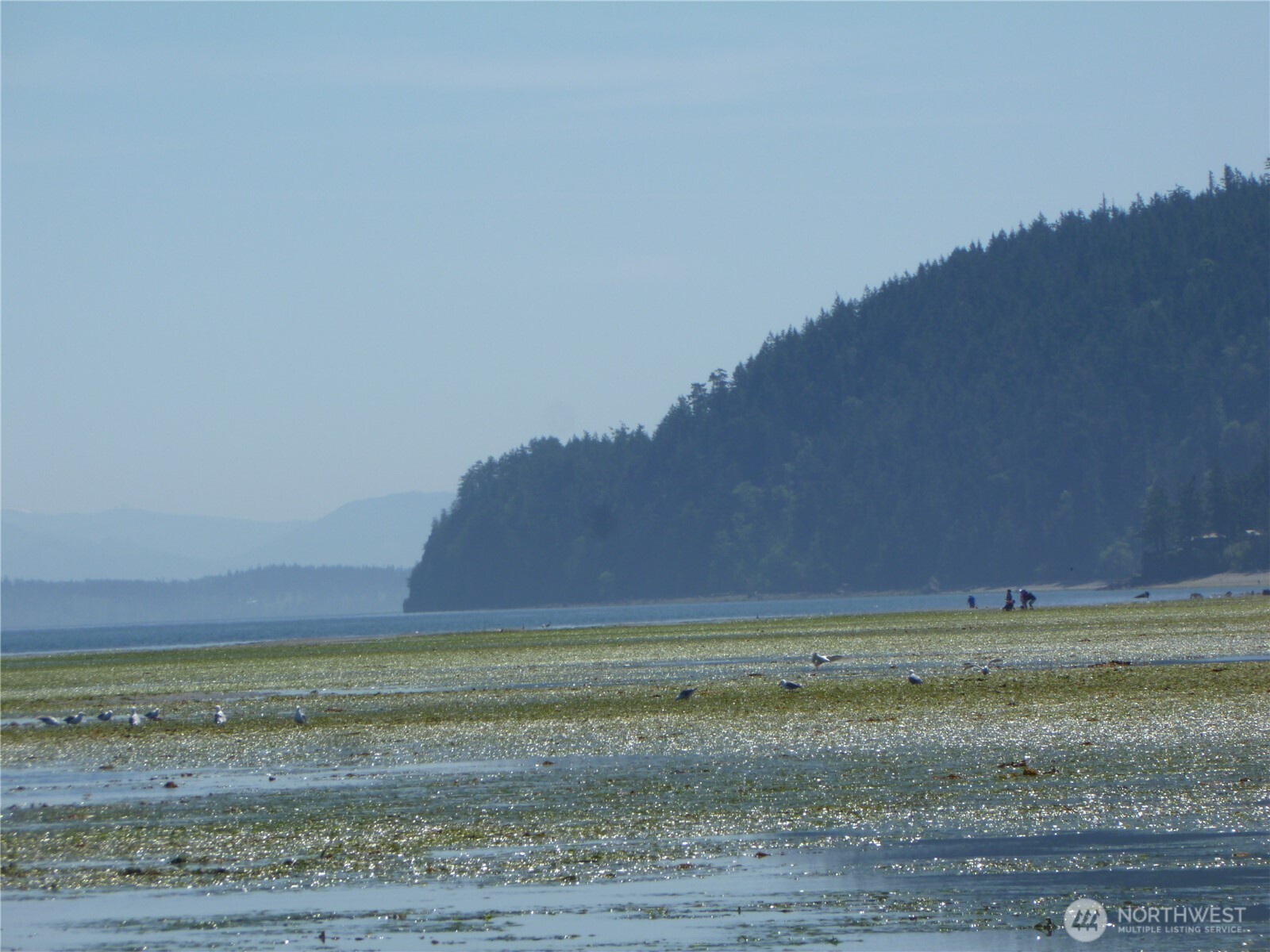5225 Guemes Island Road Anacortes, WA 98221 - Photo 12 of 17 Gallery Image 12