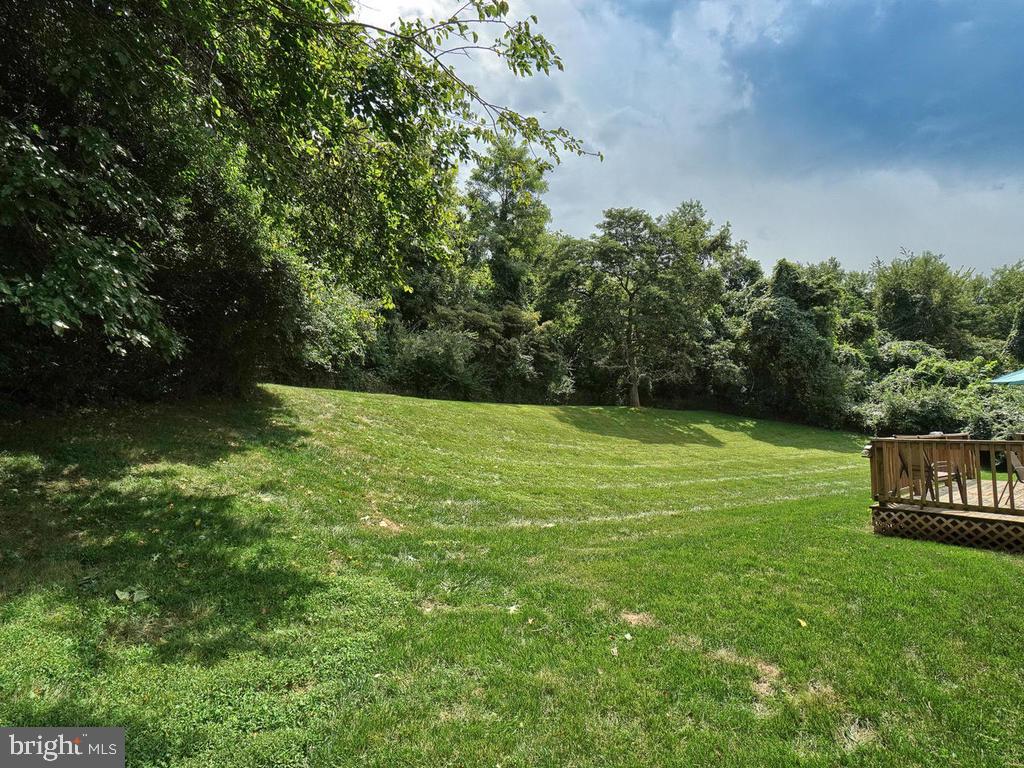 4626 Feldspar Road Middletown, MD 21769 - Photo 49 of 72 Back Yard