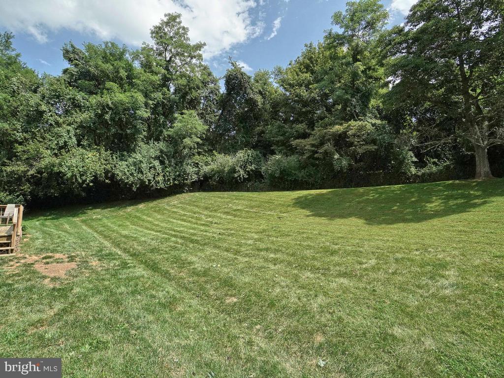 4626 Feldspar Road Middletown, MD 21769 - Photo 50 of 72 Back Yard
