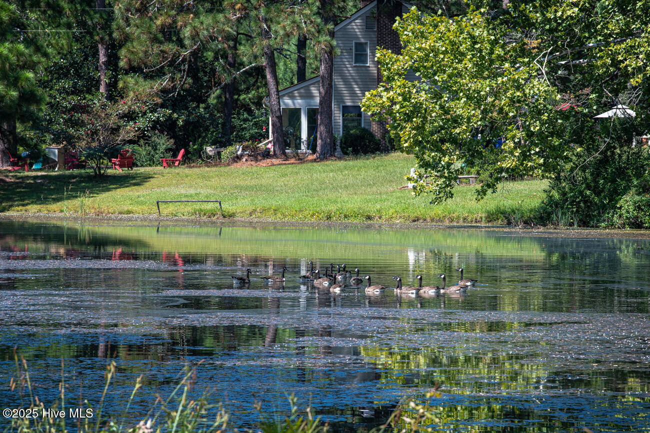 Tbd Loch Laurin Lane Rockingham, NC 28379 - Photo 11 of 15 Webb Shoot 1 Marketing Pic-6963