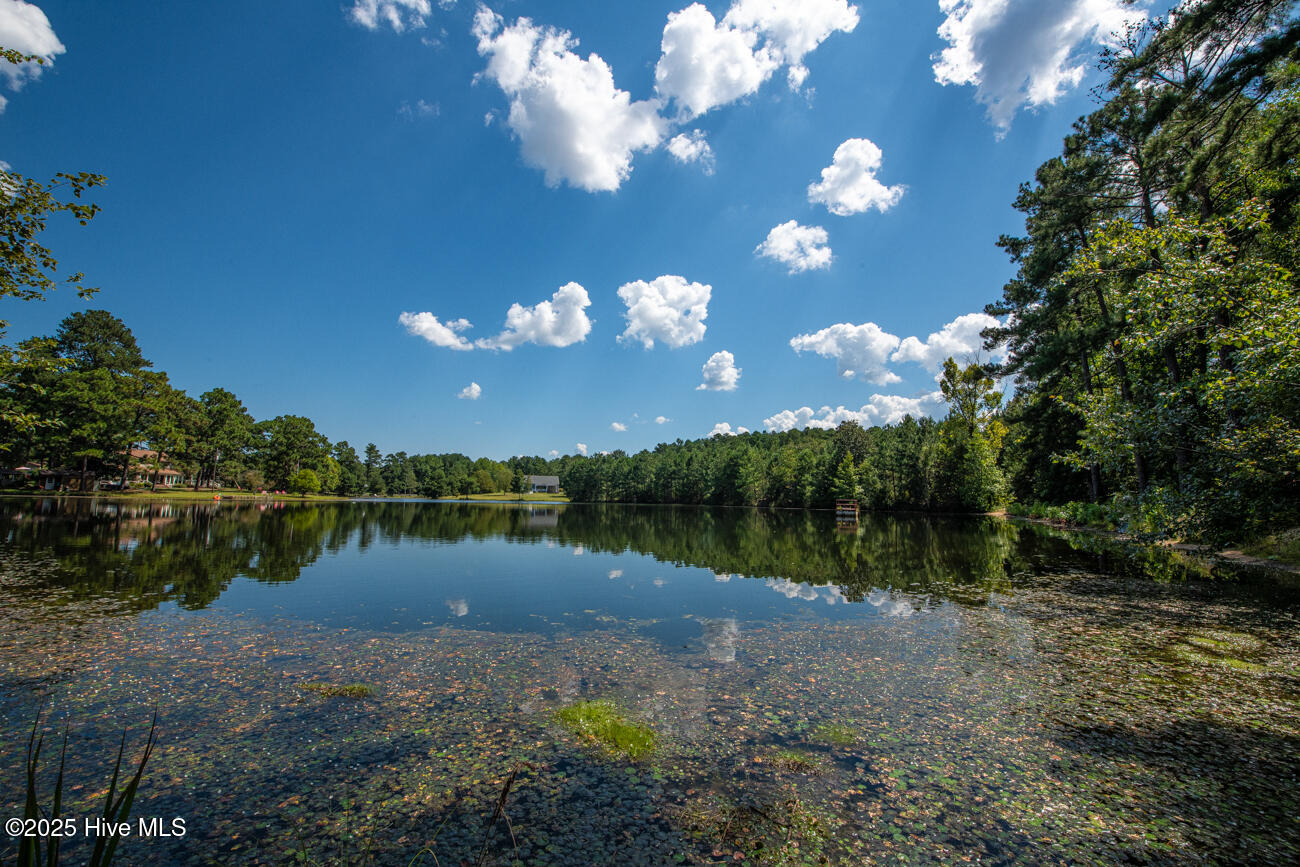 Tbd Loch Laurin Lane Rockingham, NC 28379 - Photo 12 of 15 Webb Shoot 1 Marketing Pic-6974