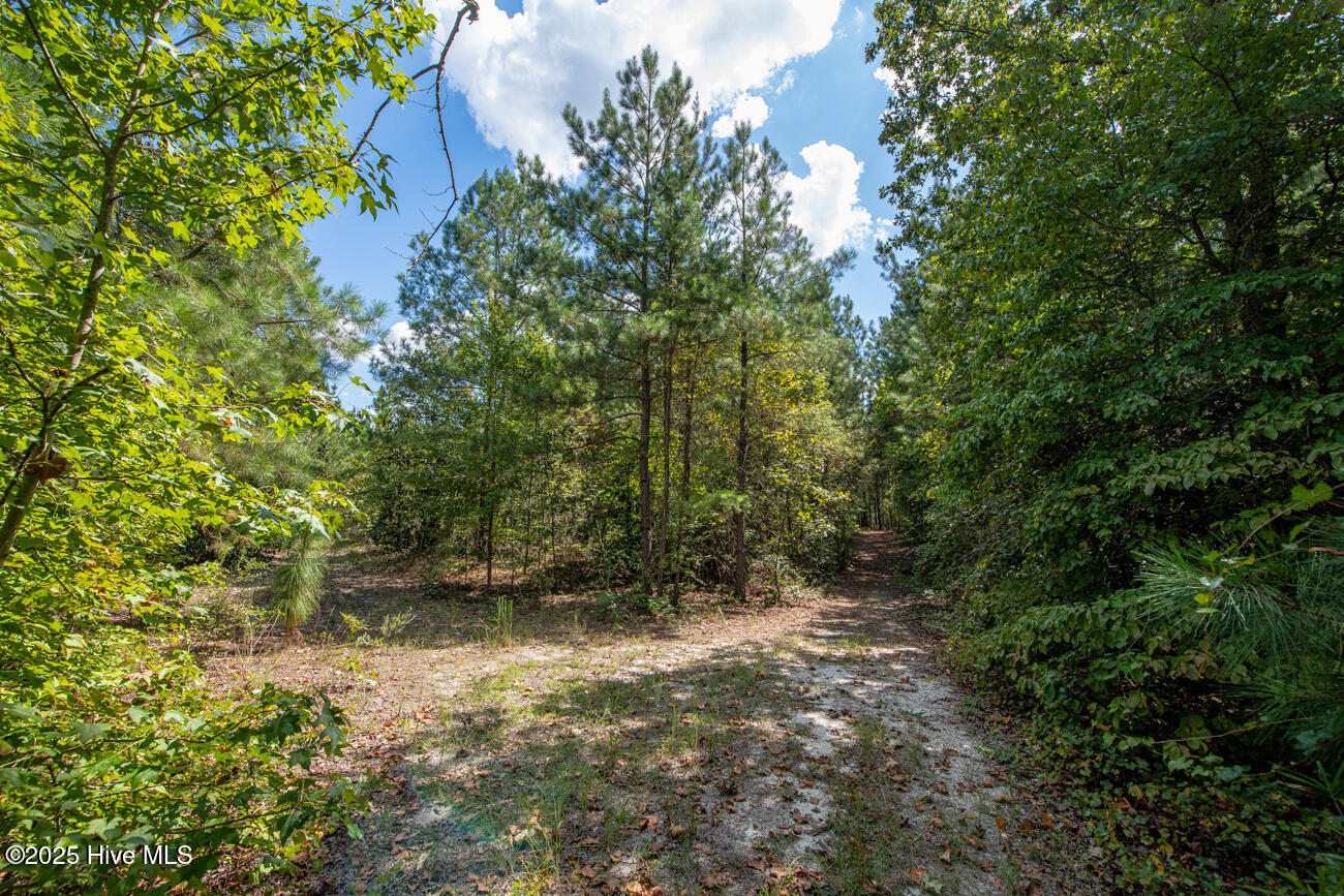 Tbd Loch Laurin Lane Rockingham, NC 28379 - Photo 15 of 15 Webb Shoot 1 Marketing Pic-6984