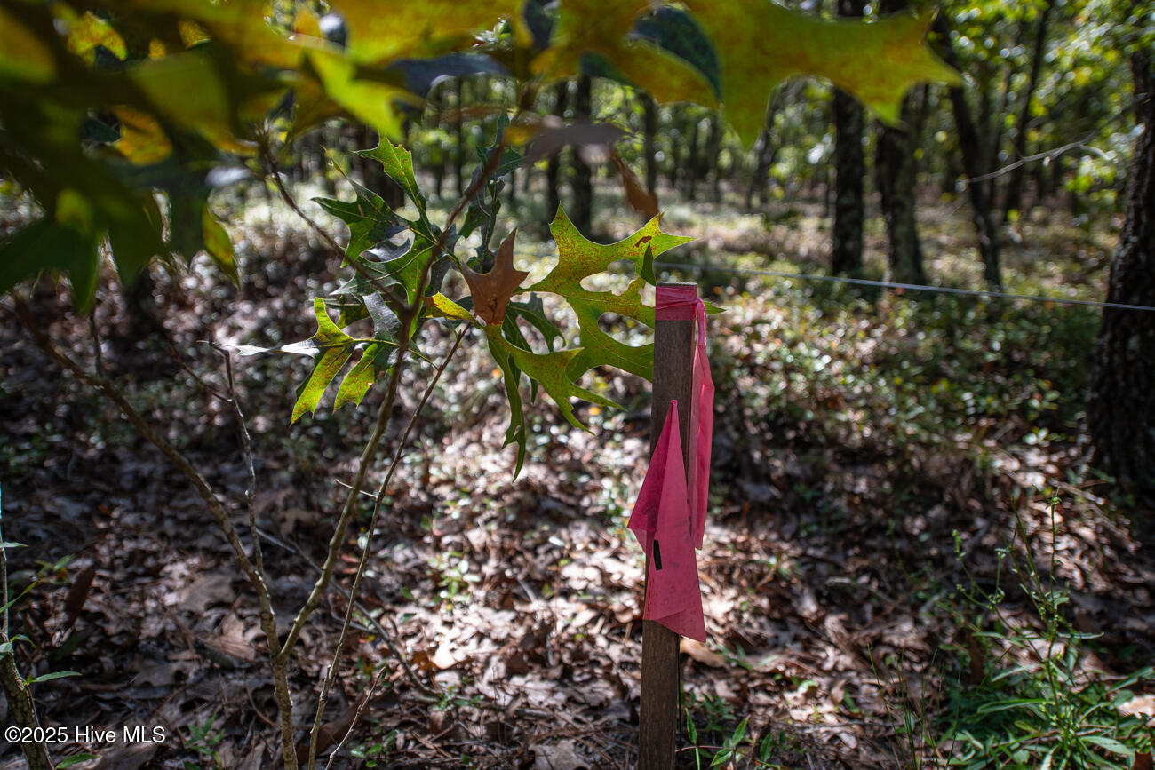 Tbd Loch Laurin Lane Rockingham, NC 28379 - Photo 7 of 15 Webb Shoot 1 Marketing Pic-6956