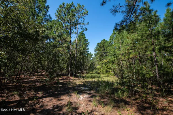 $103,000 | Tbd Loch Laurin Lane, Rockingham, NC 28379