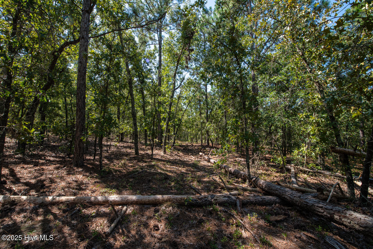 Tbd Loch Laurin Lane Rockingham, NC 28379 - Photo 9 of 15 Webb Shoot 1 Marketing Pic-6961
