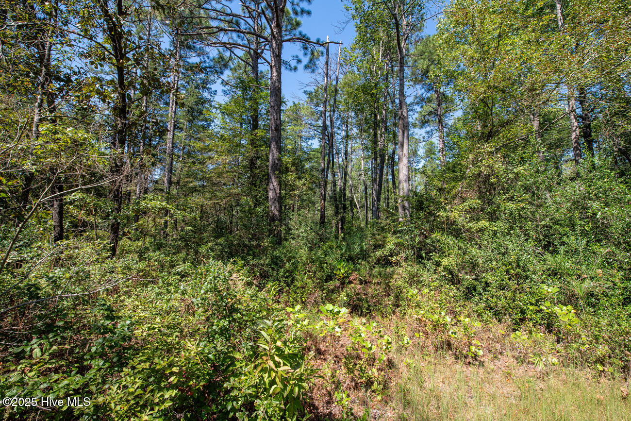 Tbd Loch Laurin Lane Rockingham, NC 28379 - Photo 10 of 15 Webb Shoot 1 Marketing Pic-6962
